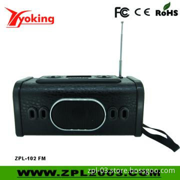 FM Radio Mini Speaker with USB Connect  (ZPL-102 FM )